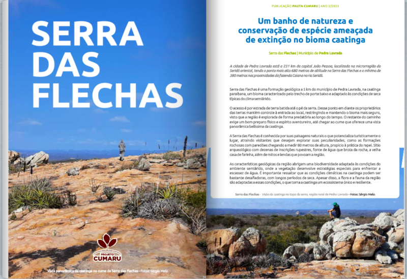 Foto e conteúdo – fotografia – Qideia Foto e conteúdo - fotografia - Qideia